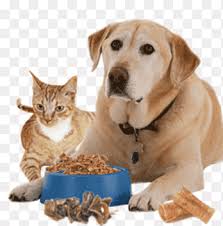 Pet Food store